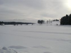 Langlaufen in Bad Leonfelden