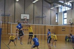 UBL-Volleyballer stehen im Meister-Play-Off der 2. Landesliga