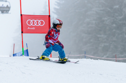 Kinderbezirksolympiade Ski Alpin 2015